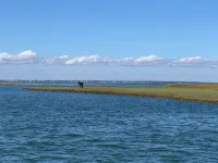 Beaufort Star! - Homestays
