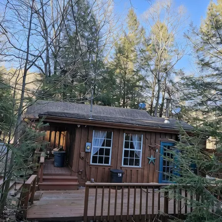 2BR cabin with private hollow, creek, and historic dam, minutes to trails/food