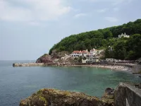 Babbacombe Palms
