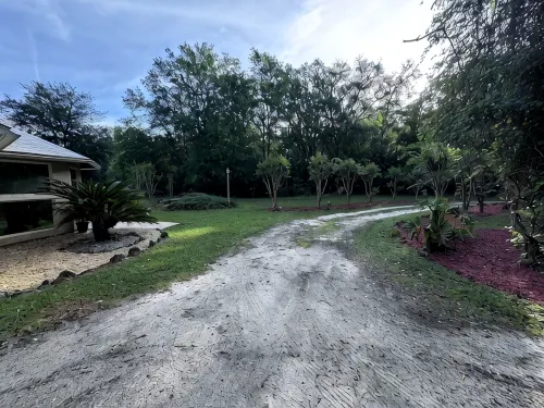 “The Peaceful Palace” - Homestays