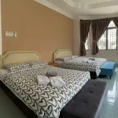Dino House Rooms