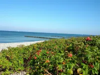 DG apartment only 250 meters to the beach - Wi-Fi