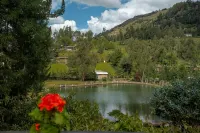 Fundo El Chocho - Mountain view