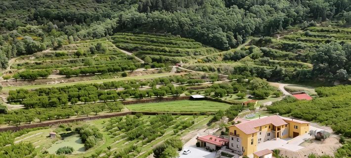 Quinta do Limite - Agroturismo Hotels in Covilha