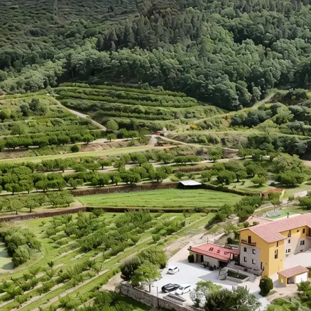 Quinta do Limite - Agroturismo