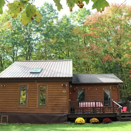 Cozy woodsy family-friendly cabin retreat