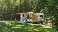 Magical Little Camper in the Bamboo Forest - Minutes to Downtown Asheville! WiFi - Bungalows