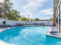 Albany Plaza Hotel Hotels in Albany