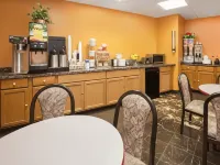 Super 8 by Wyndham Chicago IL - Motels