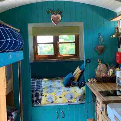 Shepherds Hut with Scandinavian Hot Tub and hydromassager Rooms