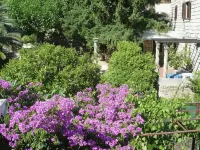 Villa Fede - Beach