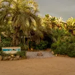 Aloe Village Aparthotel & Spa - Apartments