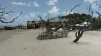 Driftwood Beach adjacent, off season rate, 20% off week, BEACH FRONT! - Villas