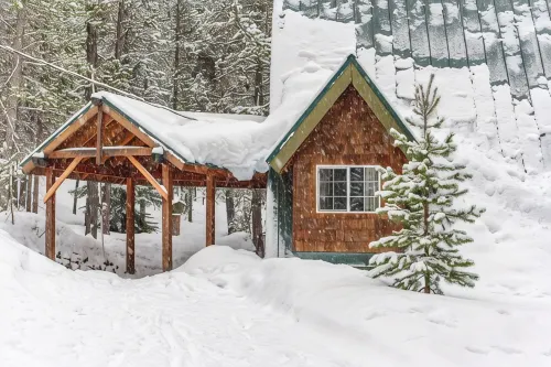 The Cabin Of Your Dreams - 4 stjerner
