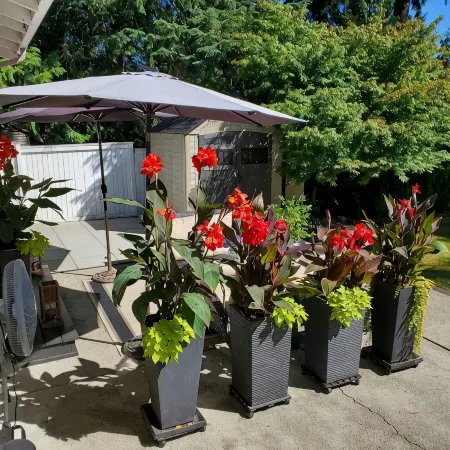 Studio Zen in Kirkland