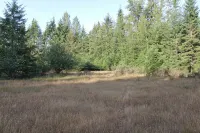 Creekbanks Cottage - a nature-lover's retreat - 3-Star