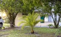 2 bedroom house, minutes to beaches, Atlanta Braves and Tampa Sea Rays stadiums - 2-Star