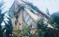 Legume Guest House - Pensions