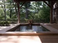 Otomeyuri - Hot Springs