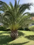 Appartement de Standing Cassis Bellevue. Animaux Acceptés, Avec Piscine 25 m - โฮมสเตย์