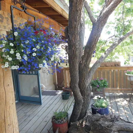 Casa Madre 3 bedroom/2 baths