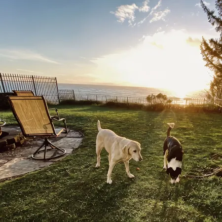 Pets welcome. Great Ocean View .  Remodeled Kitchen. Fire Pit. BBQ<br>Free WiFi.