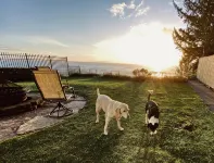 Pets welcome. Great Ocean View .  Remodeled Kitchen. Fire Pit. BBQ<br>Free WiFi. - Wifi