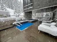 The "Powder Day" of Ski Condos! Ski-in Ski-Out, Great Vibe, Chef's Kitchen + EV! - Boutique