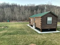 Tiny Cabin Along the River - Alphydda