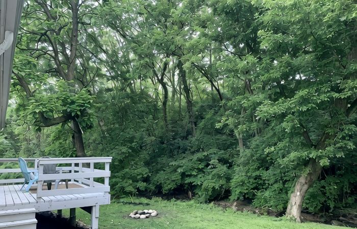 The Parkville Nook