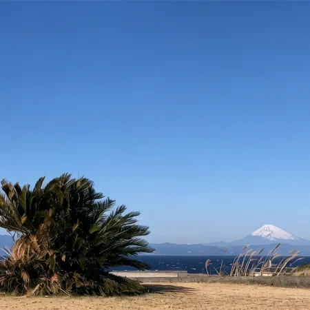 Resort Villa Miko