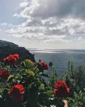 Villa Ketty Resort - Merinäköala