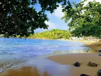 Ocean Crest (Coral Vista) - 3-Bedroom Sea View Villa! - Villas