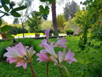 B&B Welcome Hotel in zona Roberto Abate S.P.A.