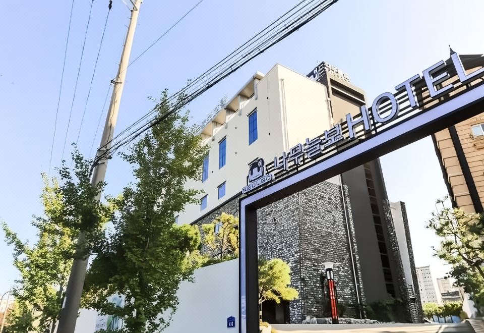 울산 일산 나무늘보 이미지