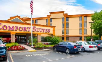 a comfort suites hotel with an american flag and a parking lot filled with cars at Four Points by Sheraton Allentown Lehigh Valley