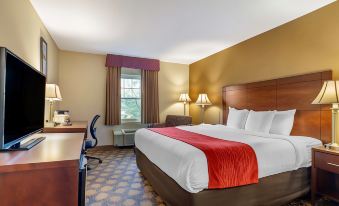 Comfort Inn Rockland - Boston