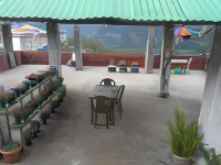 Den Homestay - 民宿