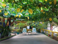 Enna's Place