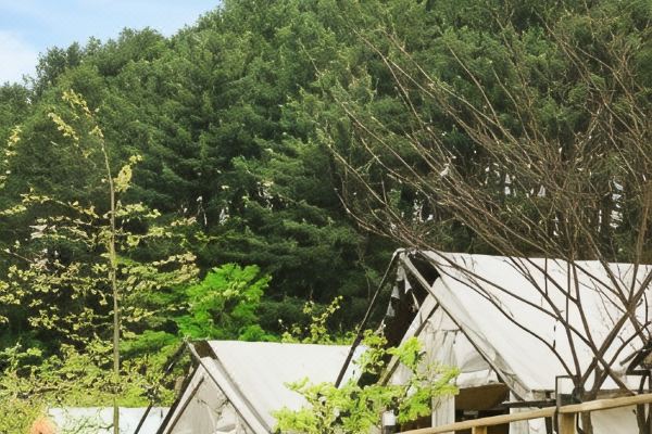 가평 세라핌 글램핑(Gapyeong Serapim Geulraemping/Eeokeon/Saetenteu Gyoce/Dangilgweon Panmae)_3