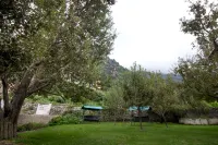 Hotel Neha Palace Hotels in Aleo