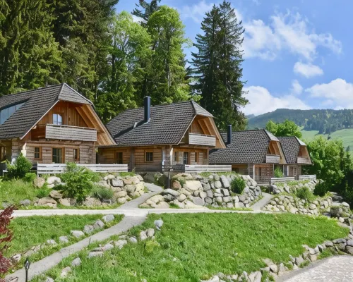 Hotel & Chalets Herrihof Hotels in Todtnau