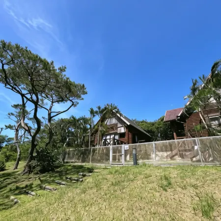 Tokashiki Guest House