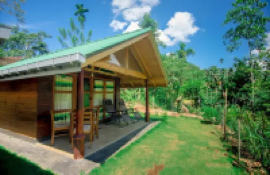 360熱帶雨林酒店