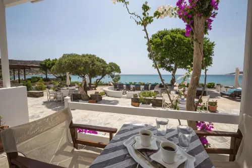 Pension Ageliki Sifnos - Pet-friendly