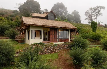 รูปภาพของใช้ชีวิต แม่สา