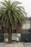 Areca Launceston Hotels in Launceston