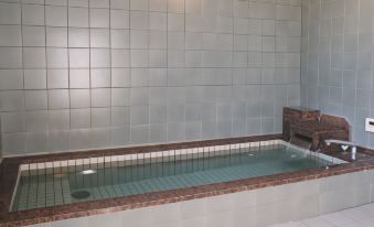 Echigoyuzawa Onsen Hotel Aster