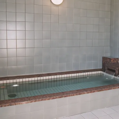 Echigoyuzawa Onsen Hotel Aster Отели рядом с достопримечательностью «Горнолыжный курорт Иваппара»