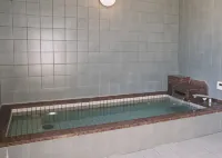 Echigoyuzawa Onsen Hotel Aster Hotel a 